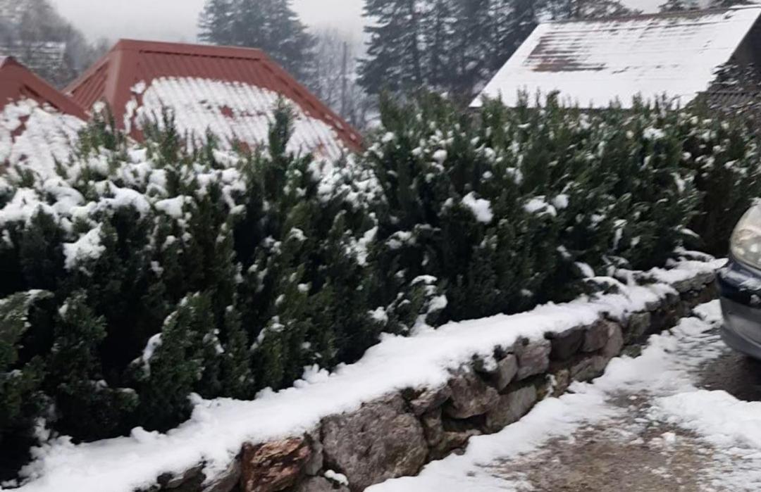 Apartman Bella Vita Kolašin Exteriör bild