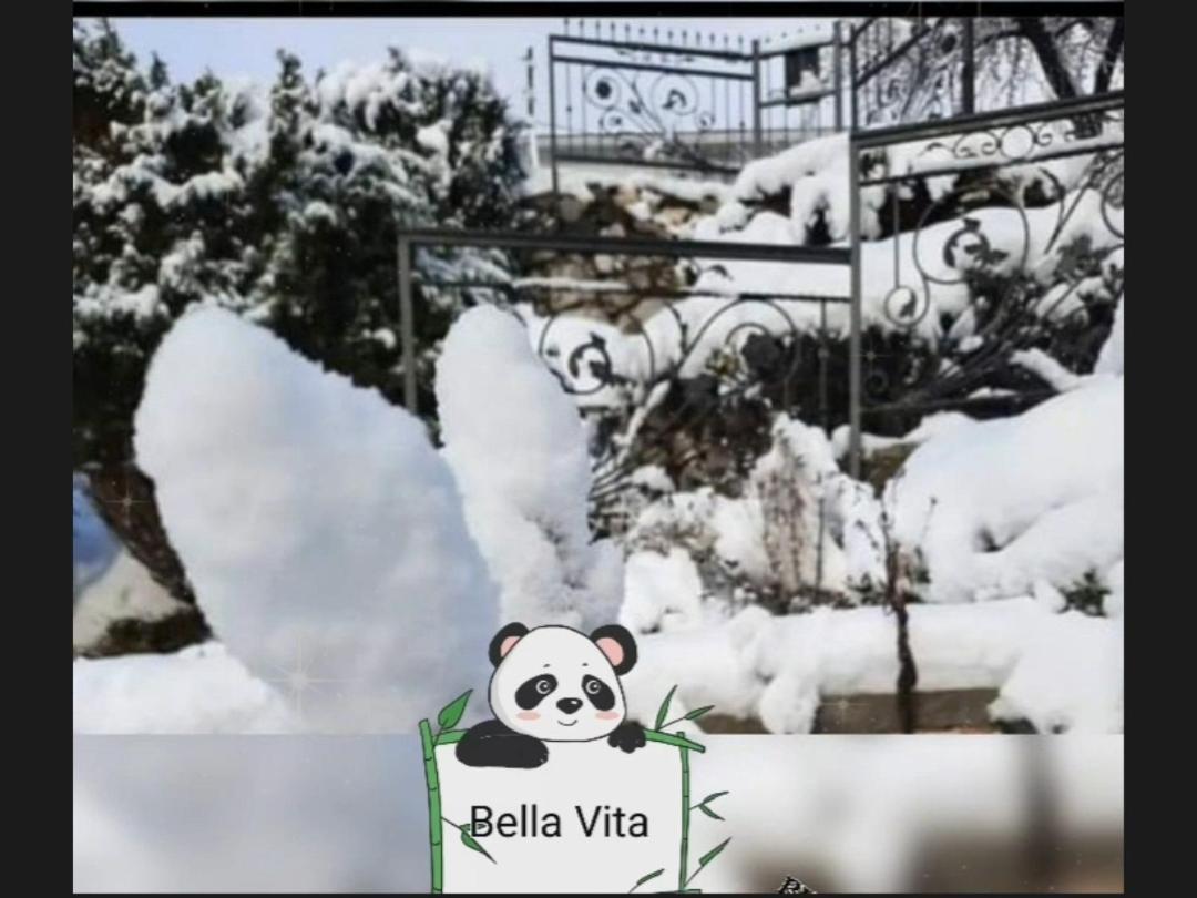 Apartman Bella Vita Kolašin Rum bild